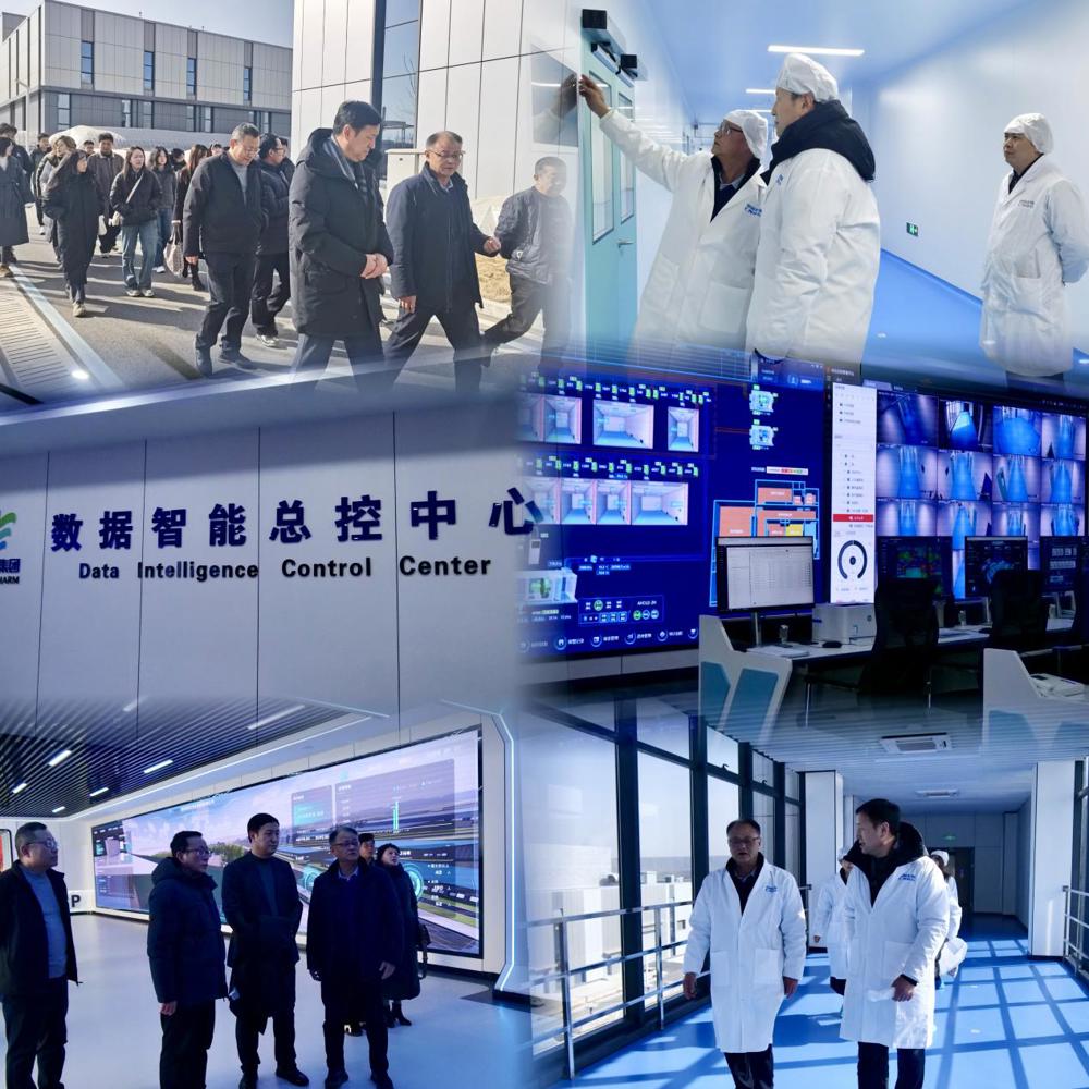 1c665db370ba3aa6be1cc80172e6e2d