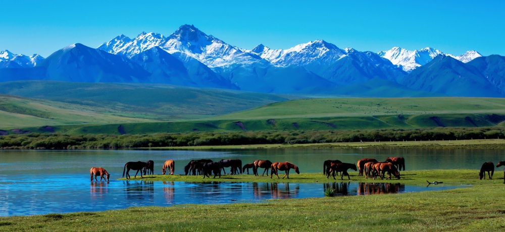 2、积极宣传展示我省生态治理成效