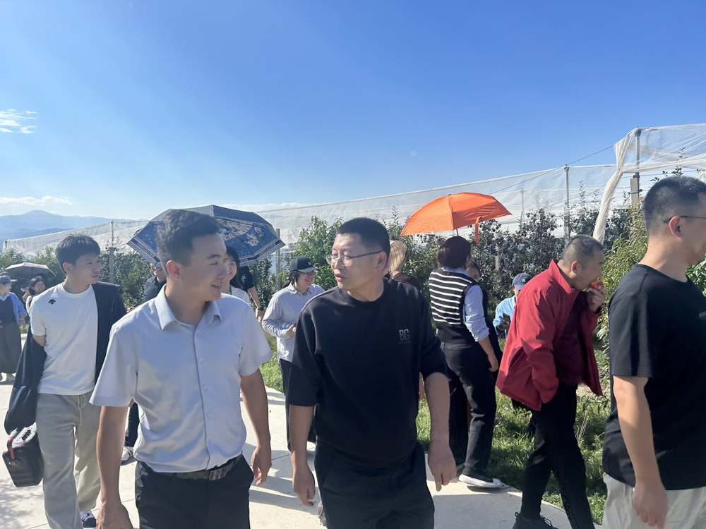图片4